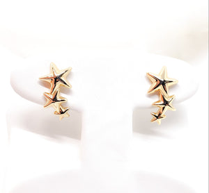 14kt. Journey Star Earrings